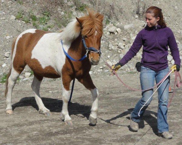 Fabina & Emilie Vander Elst