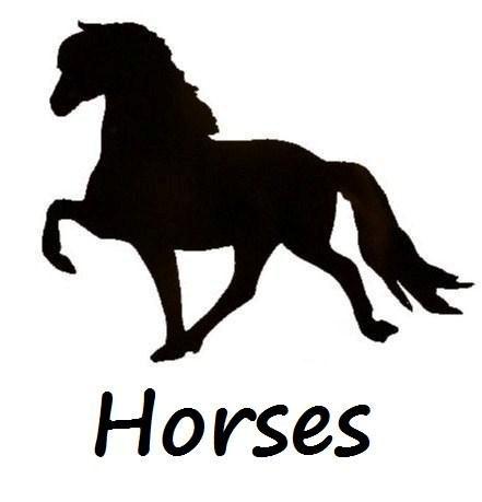 Horses